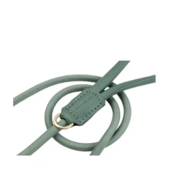 FuzzYard Pet Products FuzzYard Life Atelier Koppel Myrtle Green
