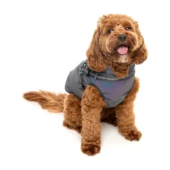 FuzzYard Pet Products FuzzYard Flash Jacket Reflective