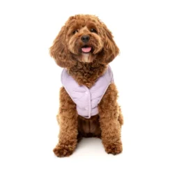 FuzzYard Pet Products FuzzYard Nara Jacket Blue