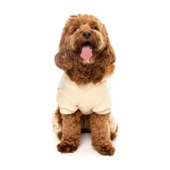 FuzzYard Pet Products FuzzYard Urban Tacksuit Buttermilk