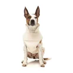 FuzzYard Pet Products FuzzYard Vienna Jacket Off White