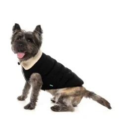 FuzzYard Pet Products FuzzYard Frontier Jacket Black
