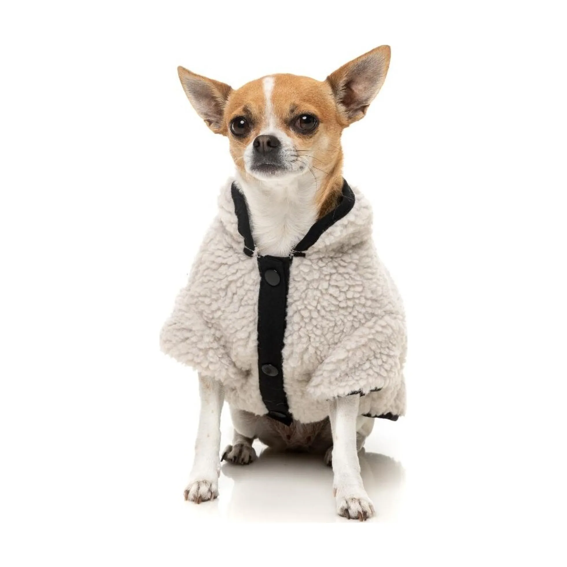 FuzzYard Pet Products FuzzYard Basecamp Jacket Stone