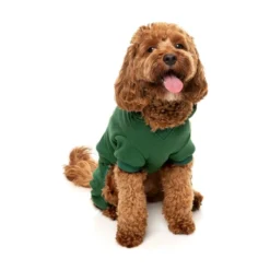 FuzzYard Pet Products FuzzYard Urban Tacksuit Green