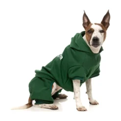 FuzzYard Pet Products FuzzYard Urban Tacksuit Green