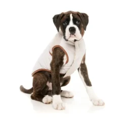 FuzzYard Pet Products Ivanhoe Jacket