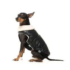 FuzzYard Pet Products Sebastian Hundjacka