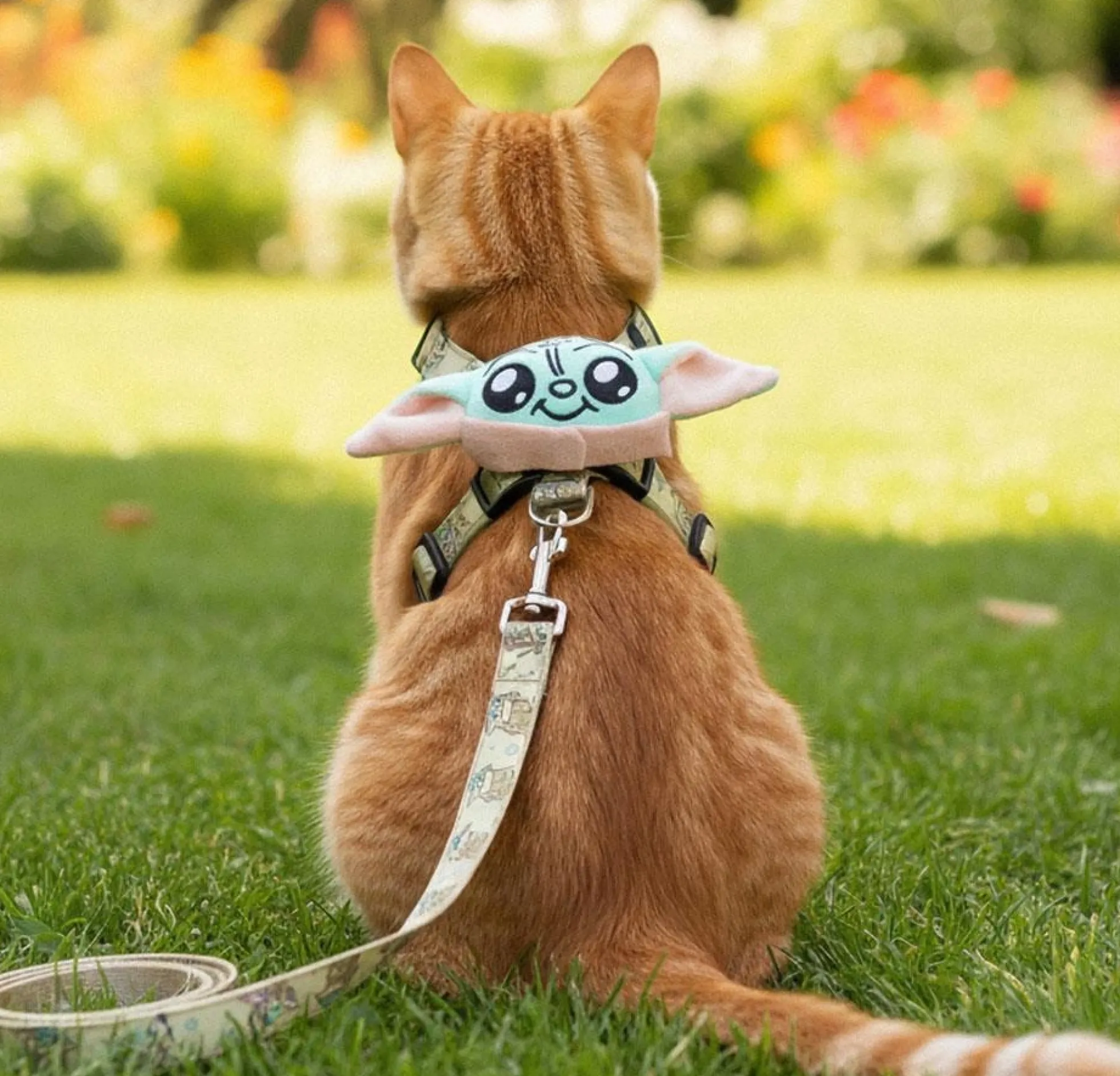 Grogu Harness & Leash Set