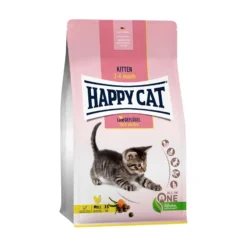 Happy Cat Kitten Farm Poultry