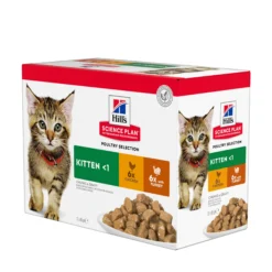 Hill's Pet Nutrition Hill's SCIENCE PLAN Kitten Våtfoder för Katt med Kyckling & Kalkon