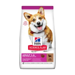 Hill's Pet Nutrition Hill's SCIENCE PLAN Small & Mini Adult Hundfoder med Lamm & Ris