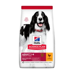 Hill's Pet Nutrition Hill's SCIENCE PLAN Medium Adult Hundfoder med Kyckling