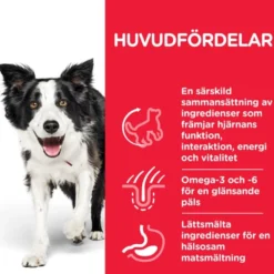 Hill's Pet Nutrition Hill's SCIENCE PLAN Senior Vitality Medium Mature Adult 7+ hundfoder med kyckling & ris
