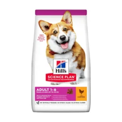 Hill's Pet Nutrition Hill's SCIENCE PLAN Small & Mini Adult Hundfoder med Kyckling