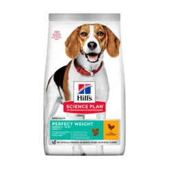 Hill's Pet Nutrition Hill's SCIENCE PLAN Perfect Weight Medium Adult Hundfoder med Kyckling