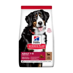 Hill's Pet Nutrition Hill's SCIENCE PLAN Large Breed Adult Hundfoder med Lamm & Ris