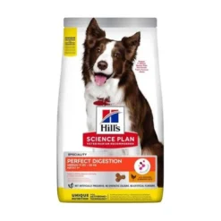 Hill's Pet Nutrition Hill's SCIENCE PLAN Perfect Digestion Medium Adult 1+ med Kyckling & Ris