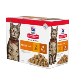 Hill's Pet Nutrition Hill's SCIENCE PLAN Adult Våtfoder för Katt med Kyckling & Kalkon