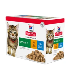 Hill's Pet Nutrition Hill's SCIENCE PLAN Kitten Våtfoder för Katt med Kyckling & Havsfisk