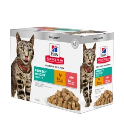 Hill's Pet Nutrition Hill's SCIENCE PLAN Adult Perfect Weight Våtfoder för Katt med Kyckling & Lax