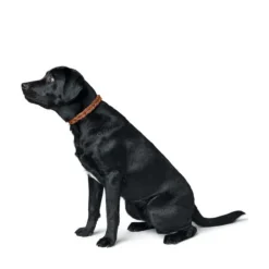 Hunter Solid Education Cord Läderhalsband