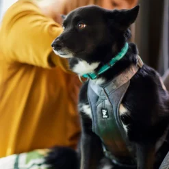 Hurtta ECO Travel Hundesele
