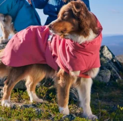 Hurtta Expedition Parka 2.0