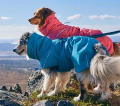 Hurtta Expedition Parka 2.0