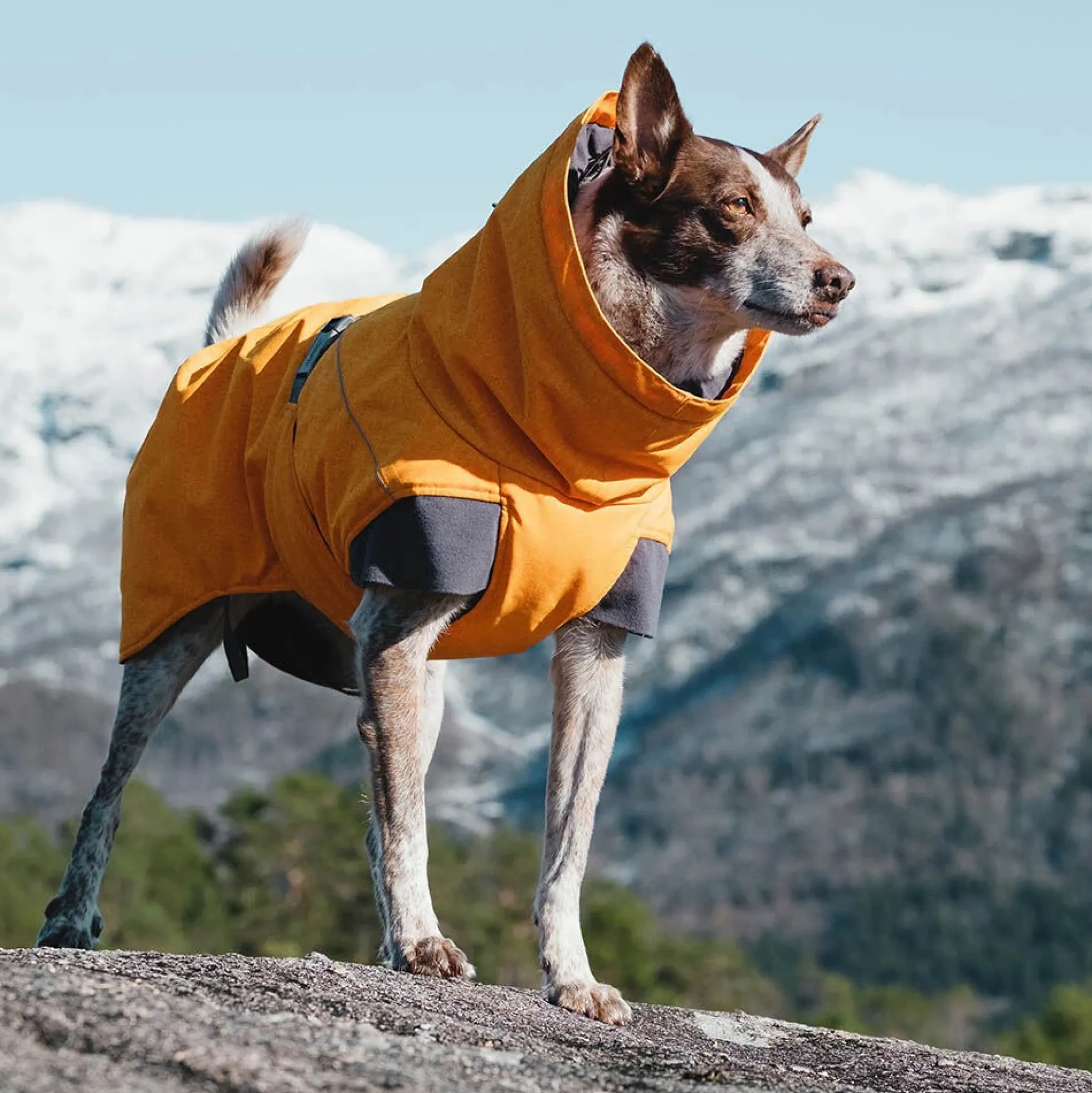 Hurtta Expedition Parka