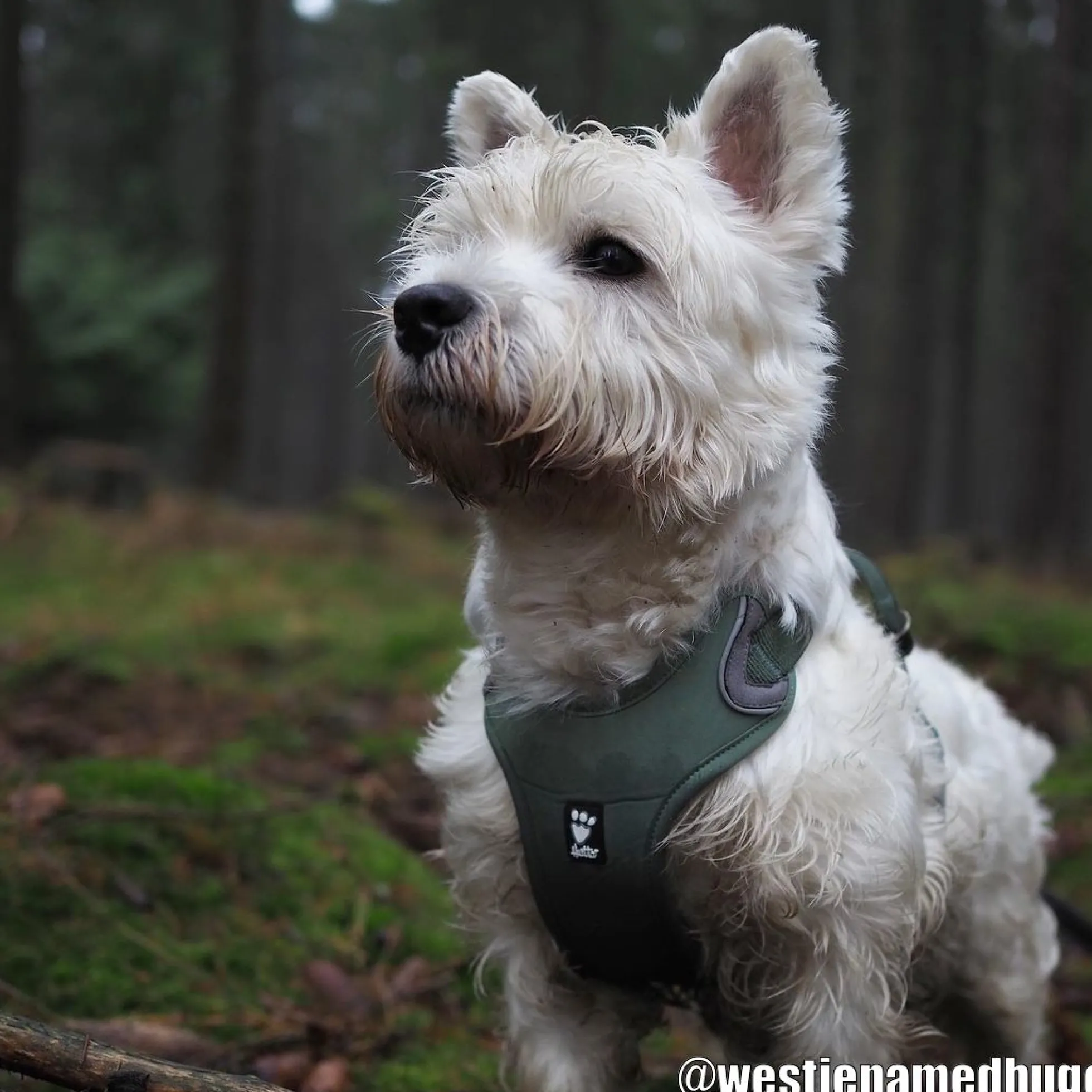 Hurtta Weekend Warrior ECO Sele