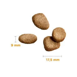 IAMS Adult Large Breed Lamb