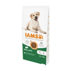 IAMS Adult Large Breed Lamb