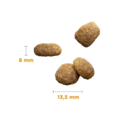 IAMS Adult Light in Fat