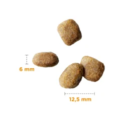 IAMS Adult Small-Medium Breed Lamb