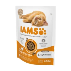 IAMS Kitten