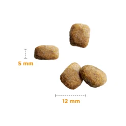 IAMS Senior Small-Medium Breed