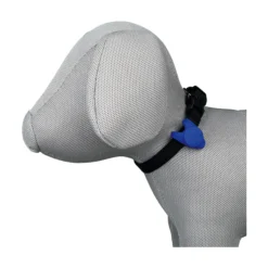 Jollypaw Flasher för Hund