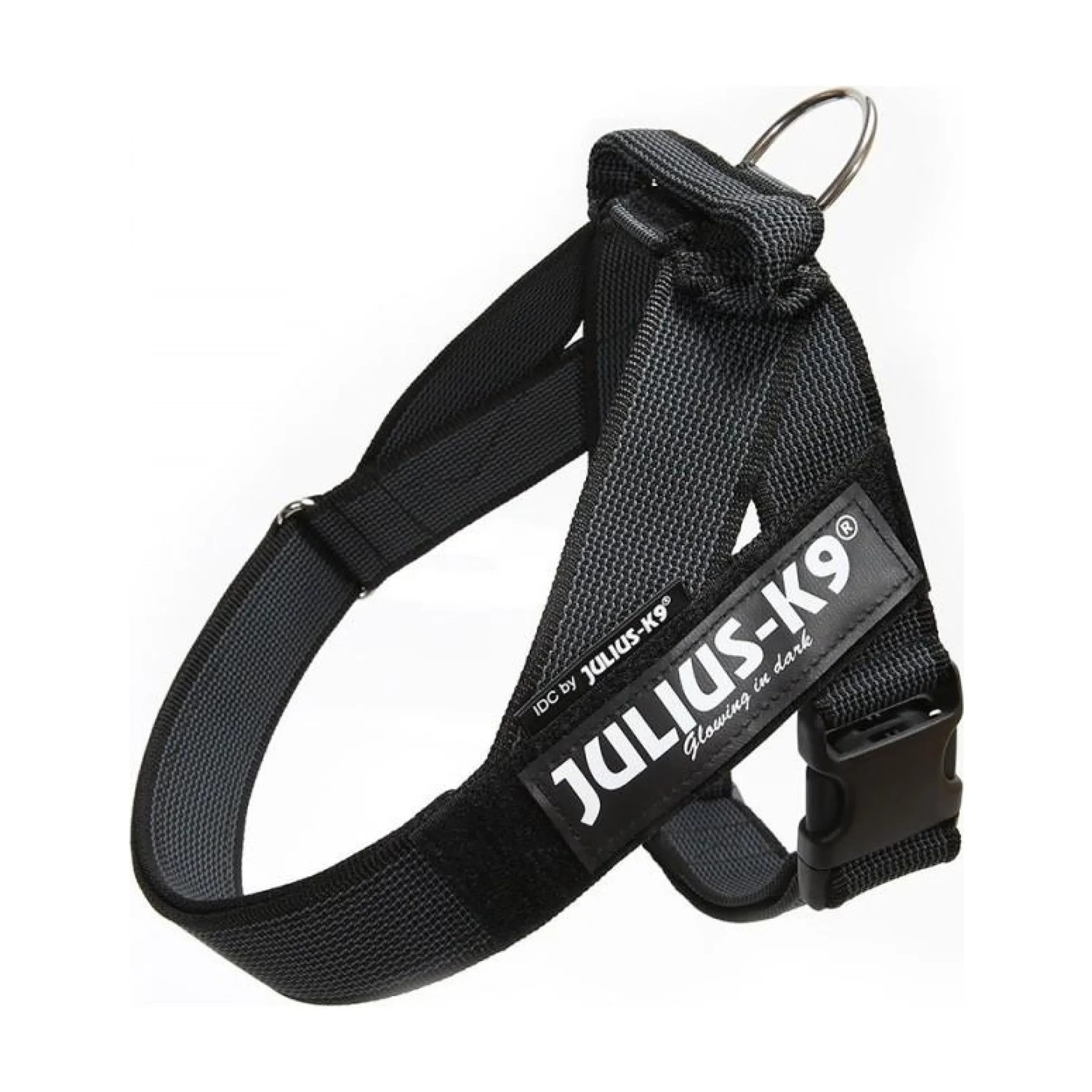 Julius-K9 C&G Sele