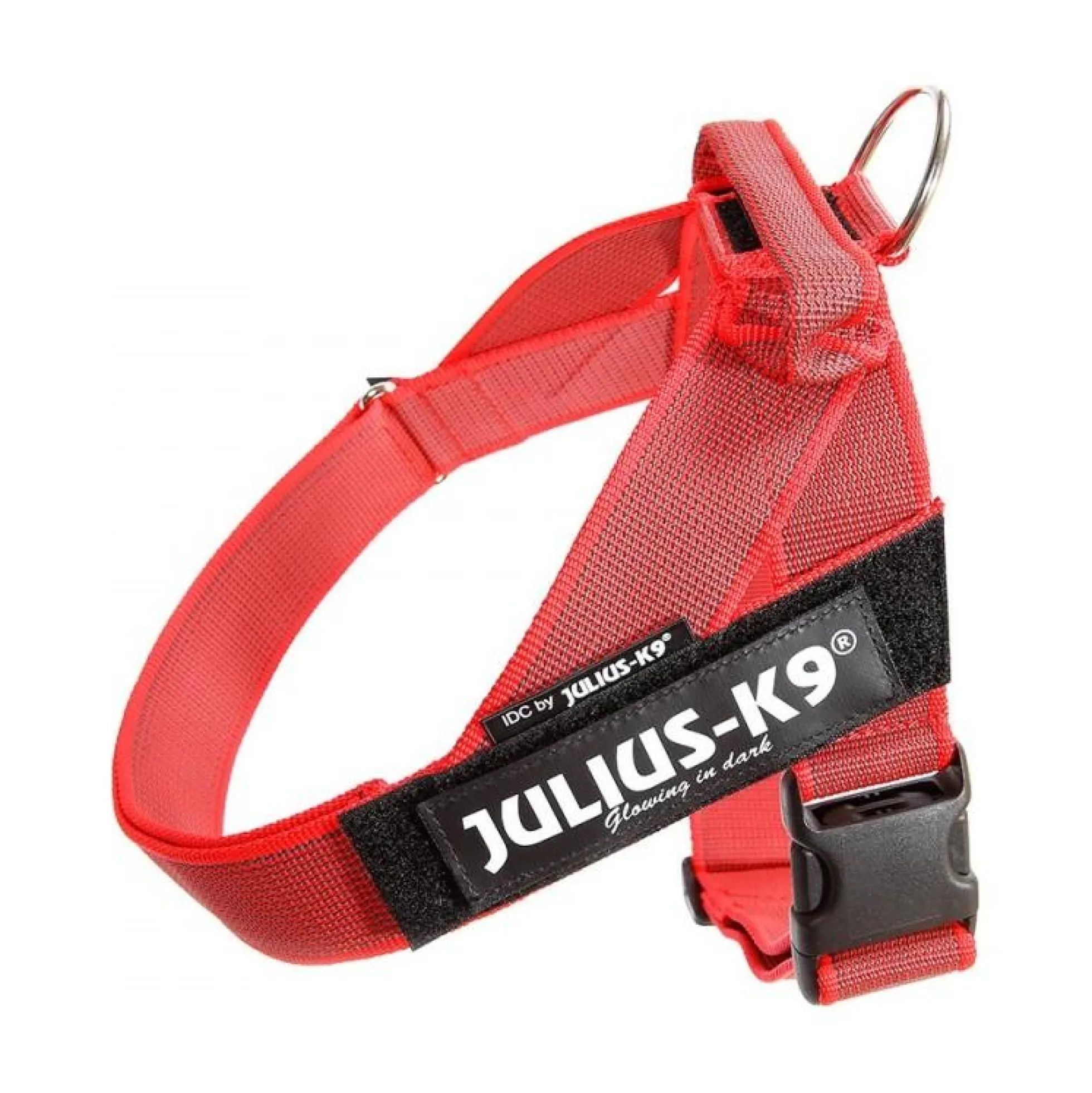 Julius-K9 C&G Sele