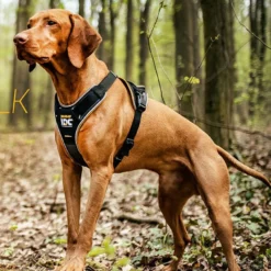 Julius-K9 IDC Longwalk