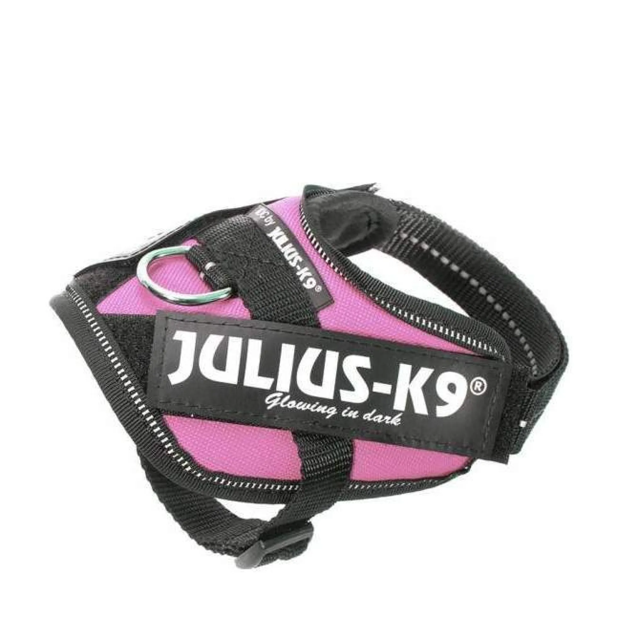 Julius-K9 IDC Sele