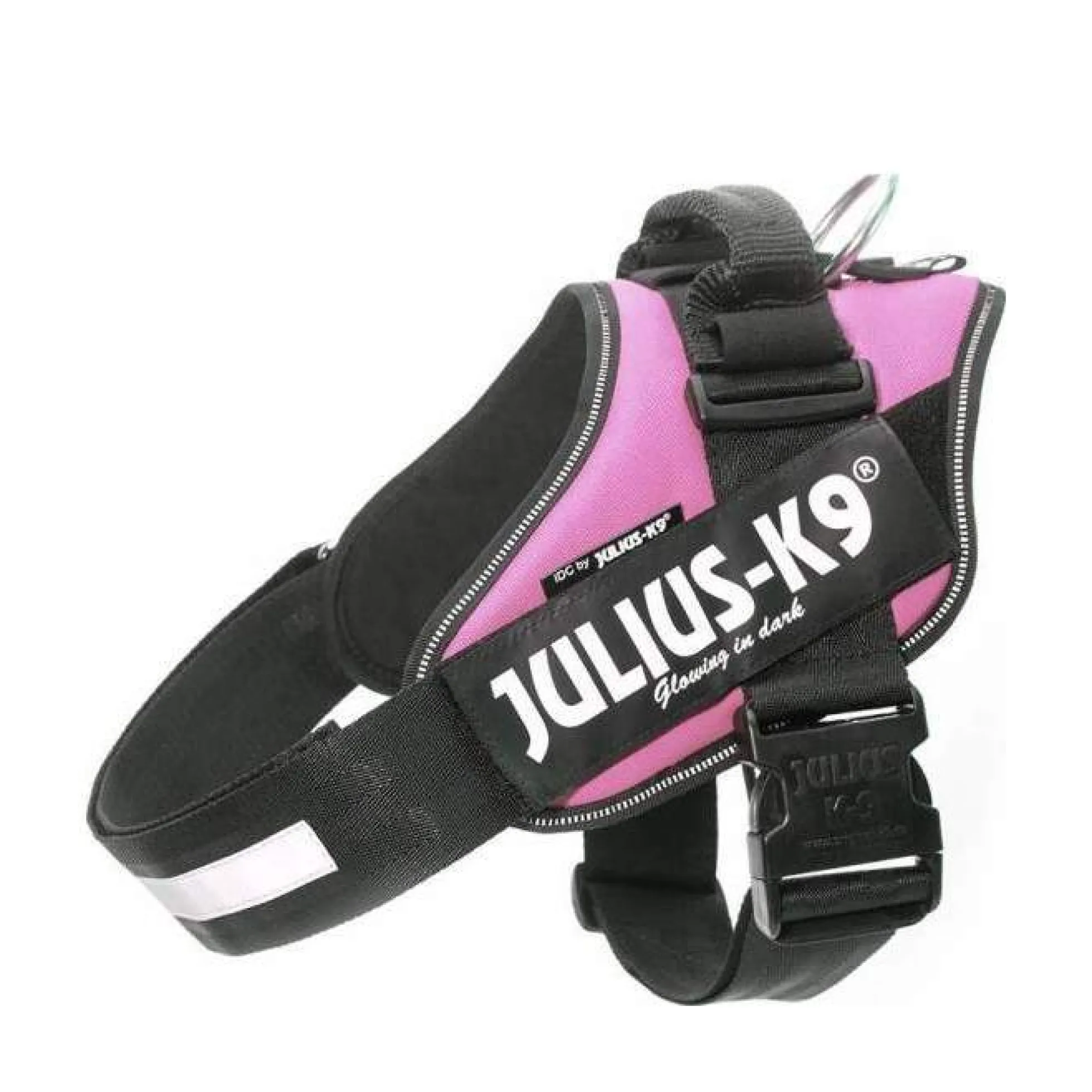 Julius-K9 IDC Sele
