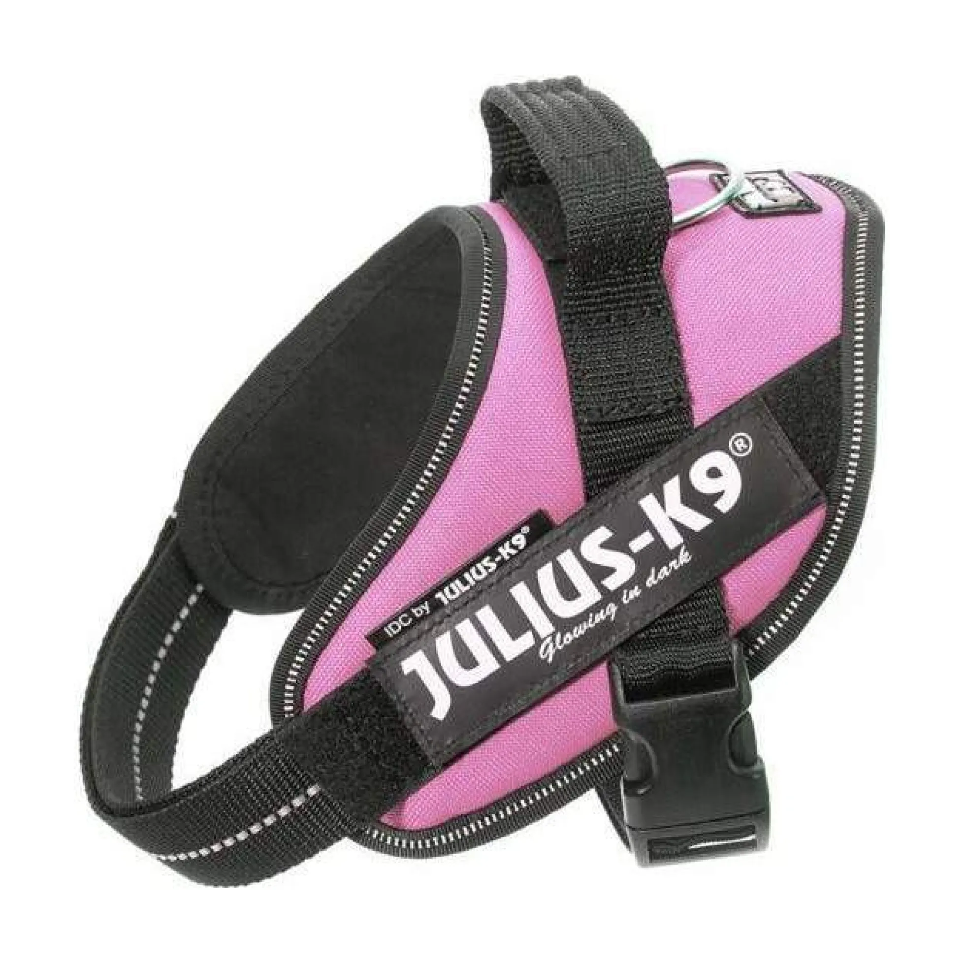 Julius-K9 IDC Sele