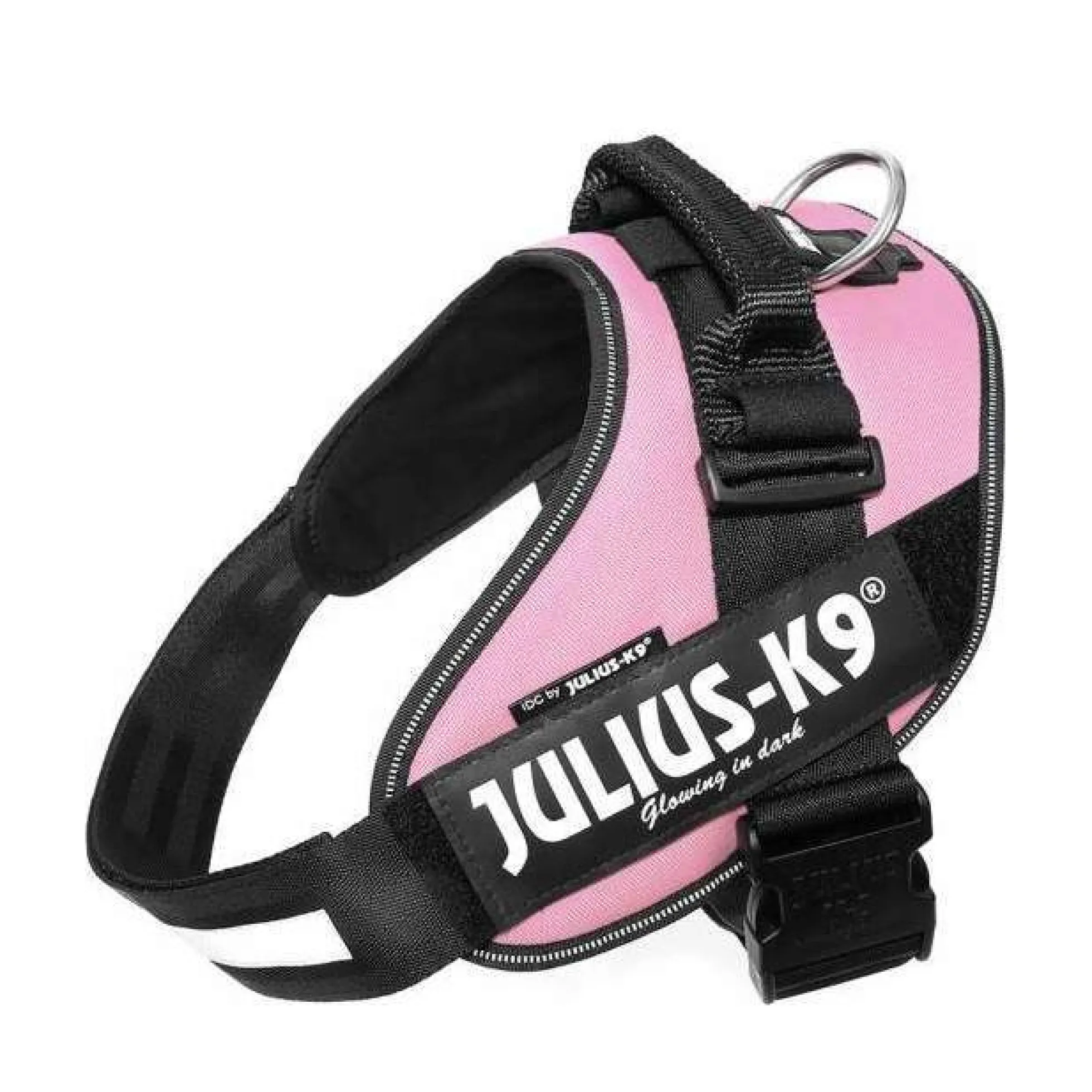 Julius-K9 IDC Sele