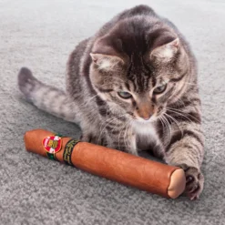 KONG Better Buzz Cigar