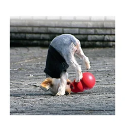 KONG Bounzer