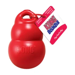 KONG Bounzer