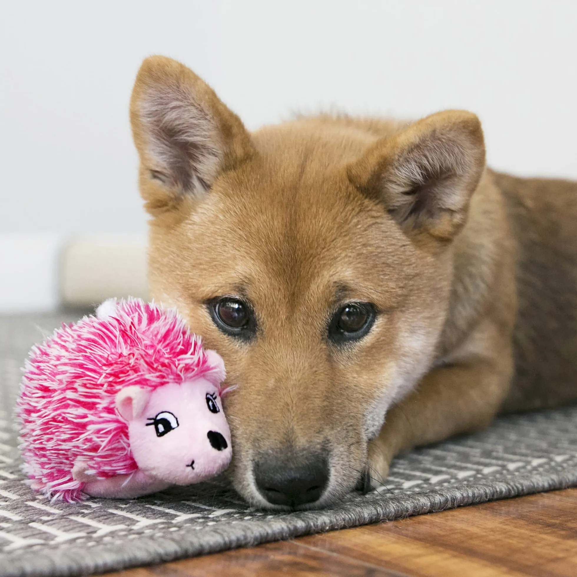 KONG Comfort HedgeHug Puppy