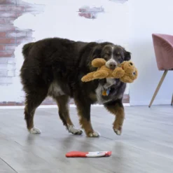 KONG Comfort Pups Goldie