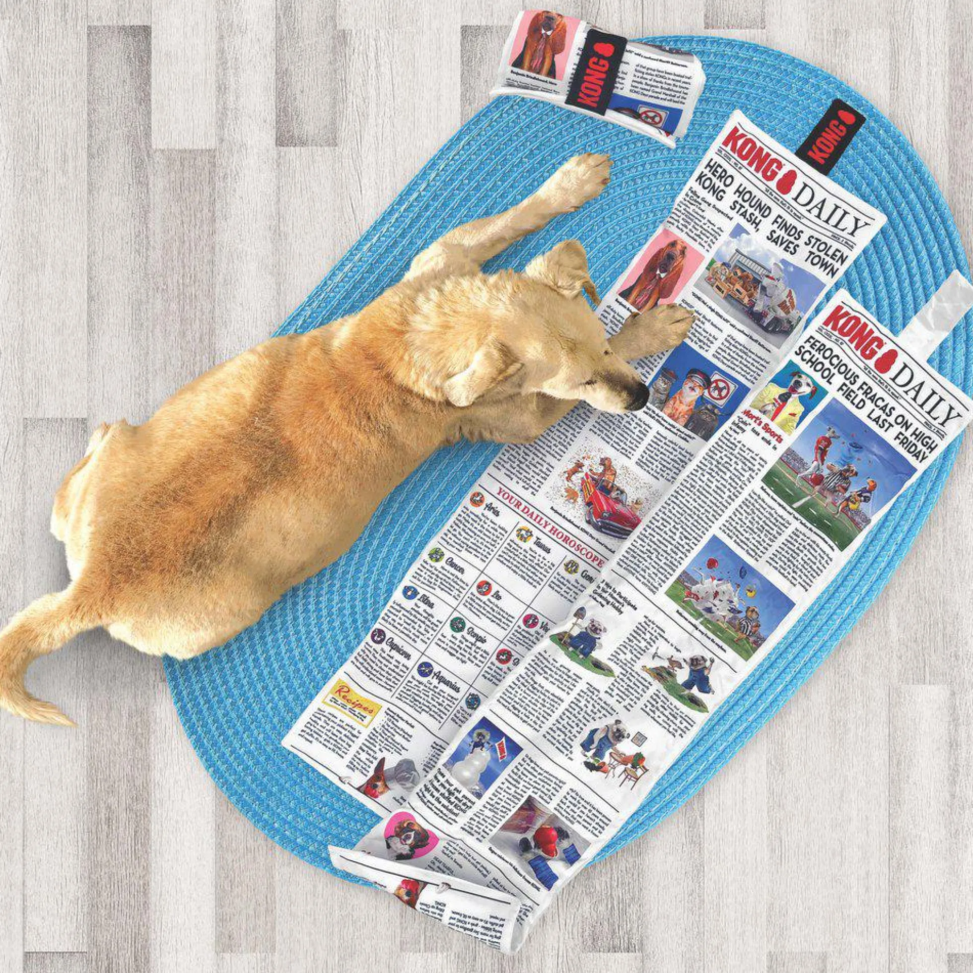 KONG Daily Newspaper XL